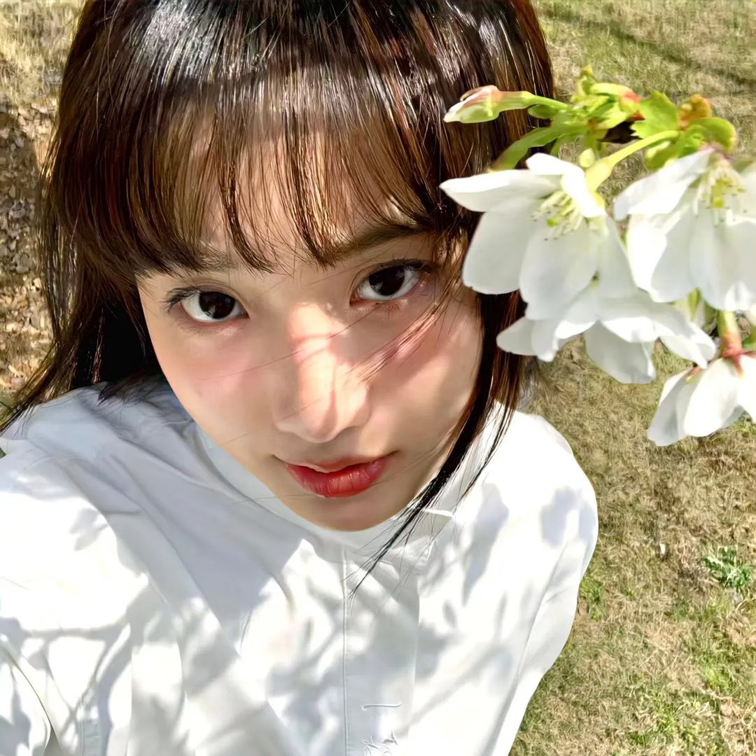 机器战犬